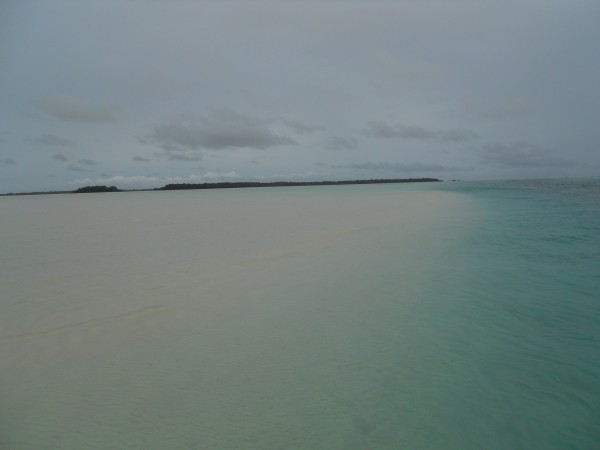 DSCN0486.jpg