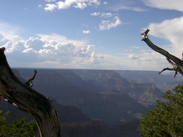 GRAND CANYON