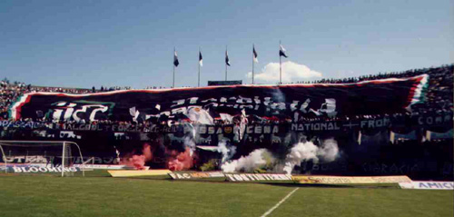 ascoliavell.jpg