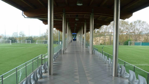 delfinotrainingcenter33.jpg