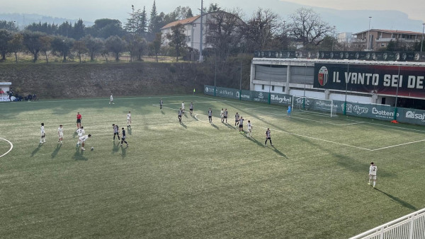 primavera1.jpg