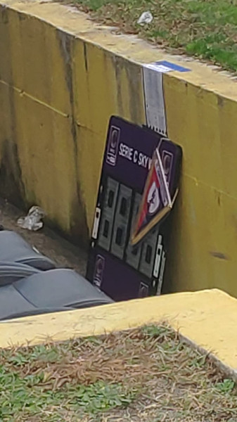 Questo è il loro gagliardetto.